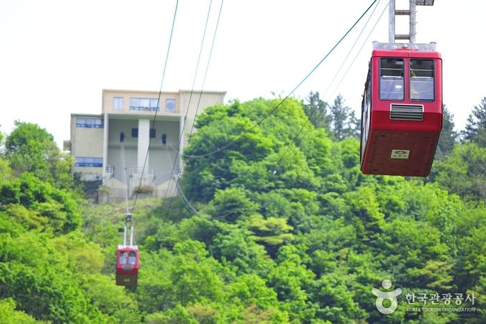 独岛展望台缆车독도전망대 케이블카