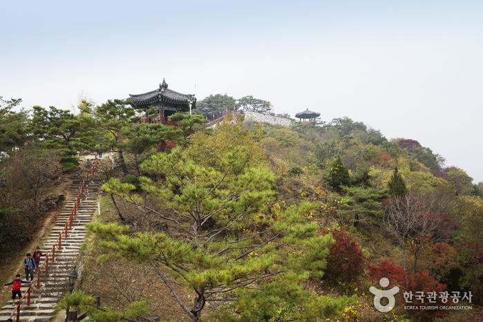 清風文化財園區(청풍문화재단지)