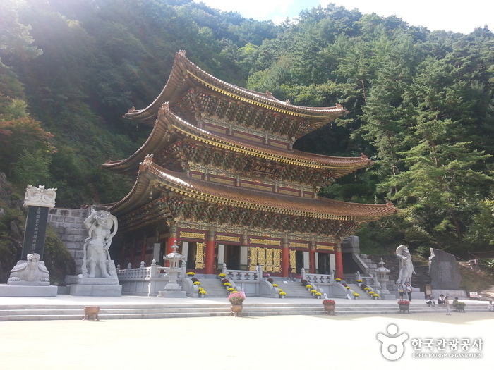 救仁寺(丹陽)(구인사(단양)) 救仁寺(丹陽)(구인사(단양))