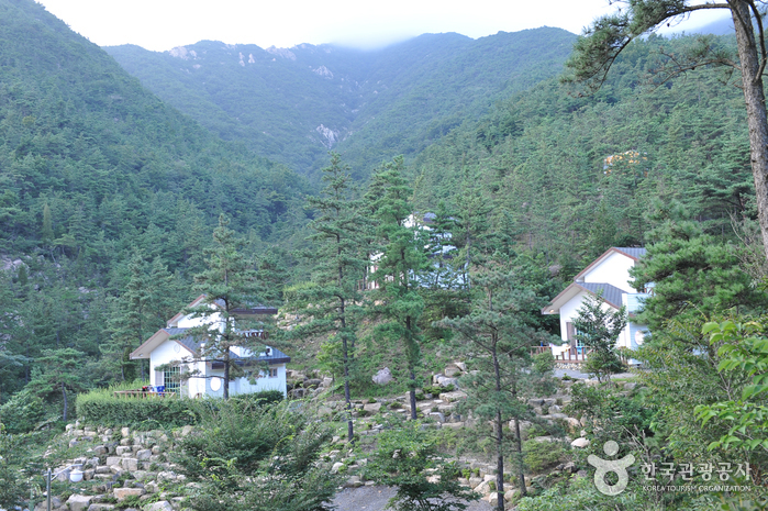 國立樂安民俗自然休養林(국립 낙안민속자연휴양림) 國立樂安民俗自然休養林(국립 낙안민속자연휴양림)