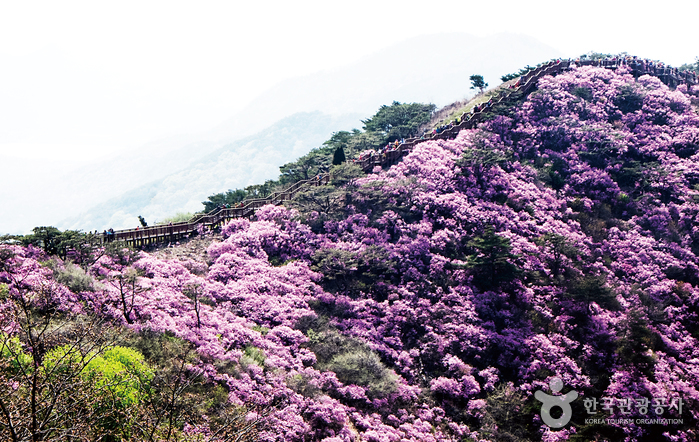 高麗山(고려산)