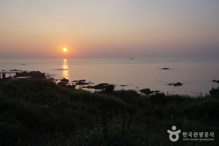 九龍浦海水浴場(구룡포해수욕장) 九龍浦海水浴場(구룡포해수욕장)