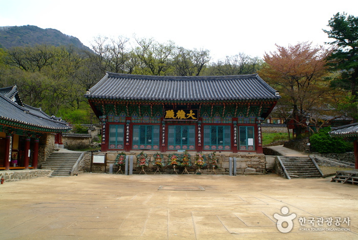 甲寺山寺體驗 (갑사 산사체험) 甲寺山寺體驗 (갑사 산사체험)