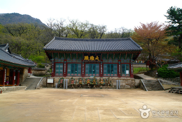 甲寺山寺體驗 (갑사 산사체험)