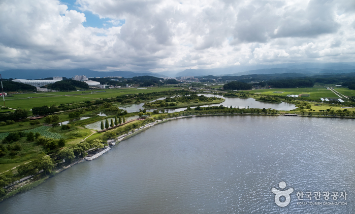 鏡浦湖(候鳥遷徙地)(경포호 철새도래지)