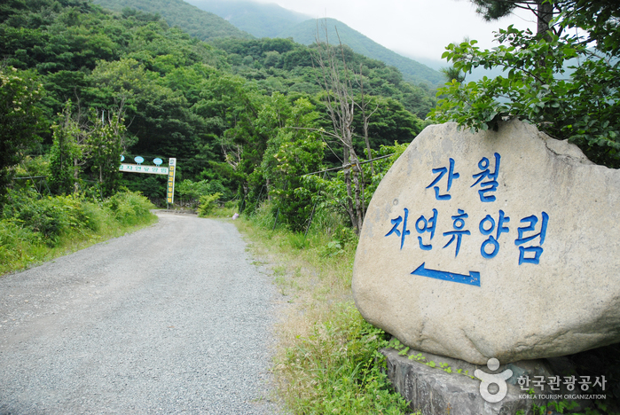 肝月自然休養林(간월자연휴양림)