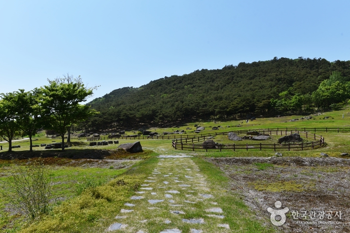 高敞支石墓遺跡 [UNESCO世界文化遺產](고창 고인돌 유적 [유네스코 세계문화유산])