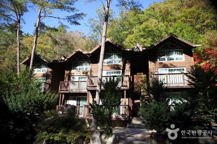 國立芳台山自然休養林(국립방태산자연휴양림) 國立芳台山自然休養林(국립방태산자연휴양림)