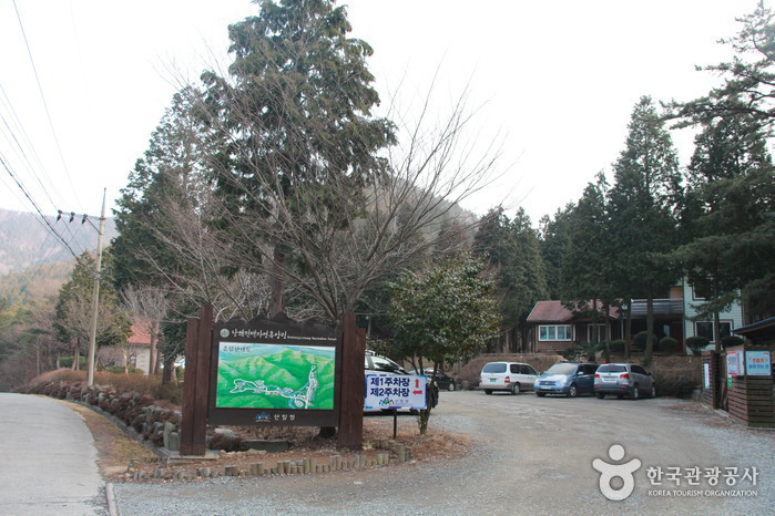 國立南海扁柏自然休養林 (국립 남해편백자연휴양림) 國立南海扁柏自然休養林 (국립 남해편백자연휴양림)