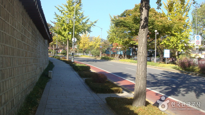 青瓦臺前道路(청와대 앞길)