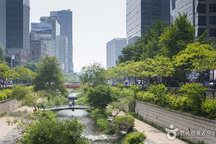 Cheonggyecheon Stream (청계천) Cheonggyecheon Stream (청계천)