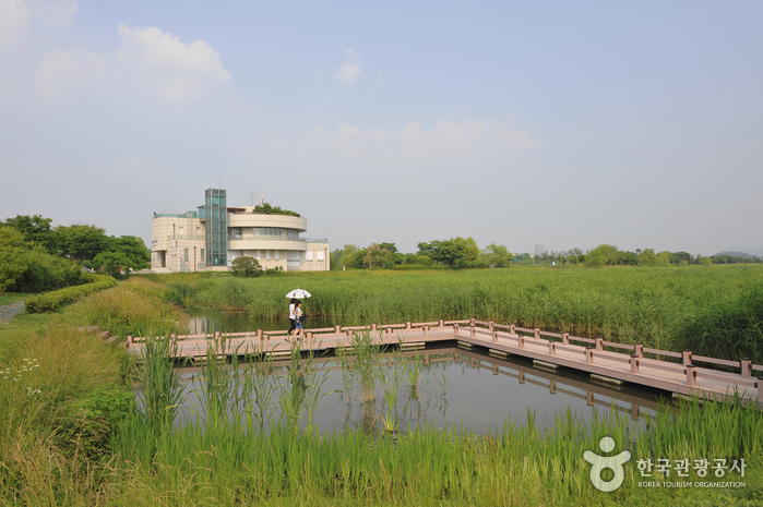 Ansan Reed Marsh Park (안산갈대습지공원)