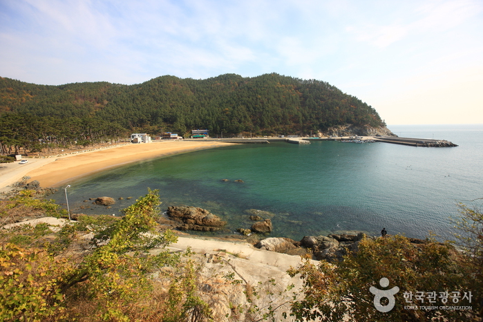 Bangjukpo Beach (방죽포해변)