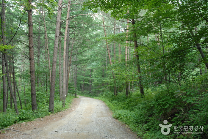 Cheongoksan Mountain (청옥산)