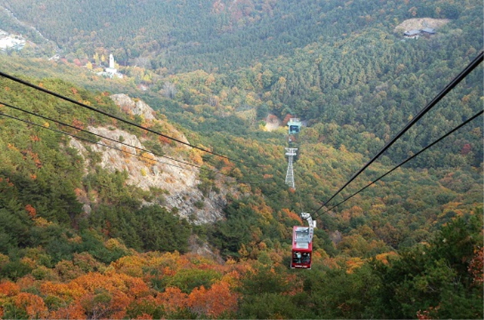 Apsan Cable Car (Apsan Observatory ) (앞산케이블카 (앞산전망대))