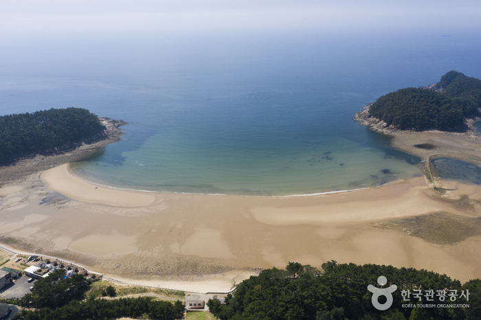 Cheollipo Beach (천리포해수욕장) Cheollipo Beach (천리포해수욕장)