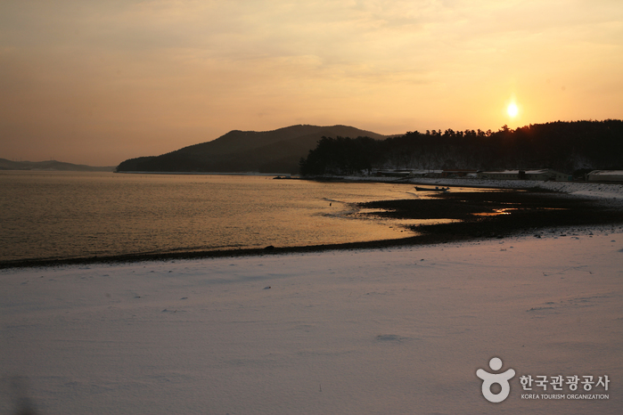 Cheonsuman Bay - Migratory Bird Sanctuary (천수만(철새도래지))
