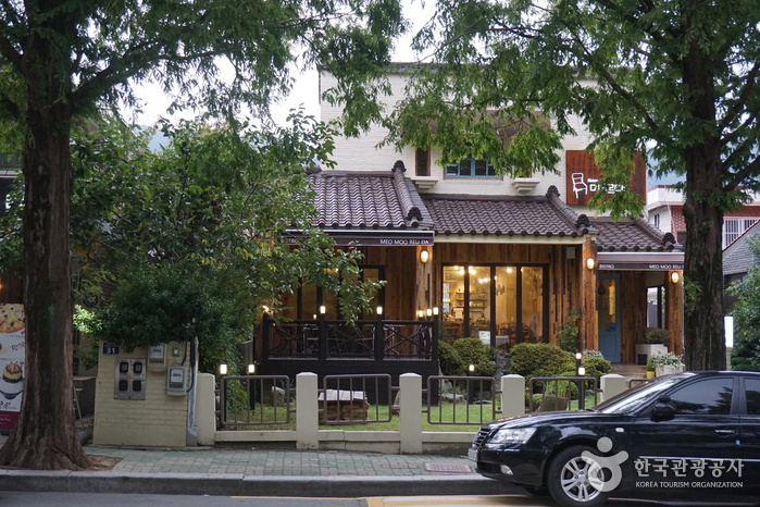 Changwon Garosu-gil (창원 가로수길) Changwon Garosu-gil (창원 가로수길)
