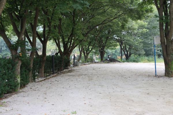 느티나무 캠핑장