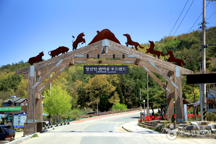 Jeongnamjin Pyeonbaek Forest Woodland (정남진 편백숲 우드랜드)