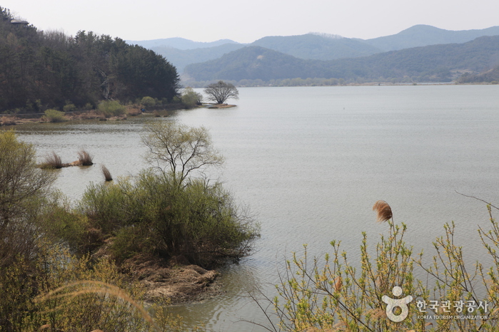 Sumpfgebiet Changnyeong Uponeup (창녕 우포늪)
