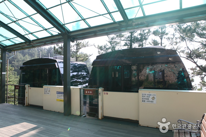 Taehahyangmok Monorail (태하향목 관광모노레일)