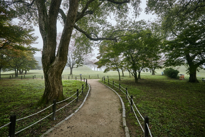 Wald Gyeongju Gyerim (경주 계림)