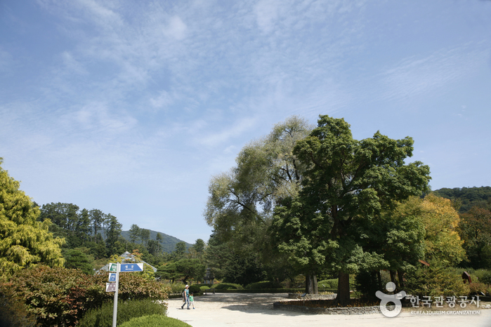 Nationales Arboretum und Waldmuseum (Wald Gwangneung) (국립수목원 (광릉숲))