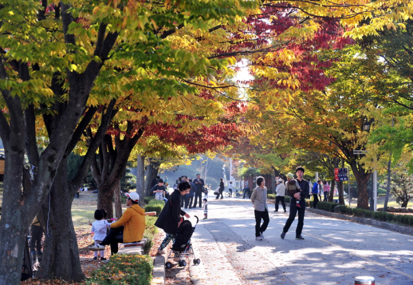 Jungoe-Park (중외공원)