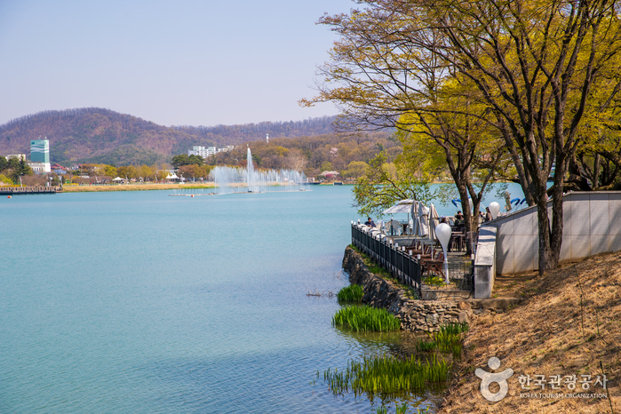 寿城池遊園地（수성못 유원지）