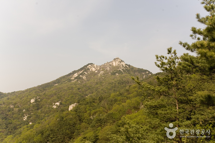 仏岩山（불암산）