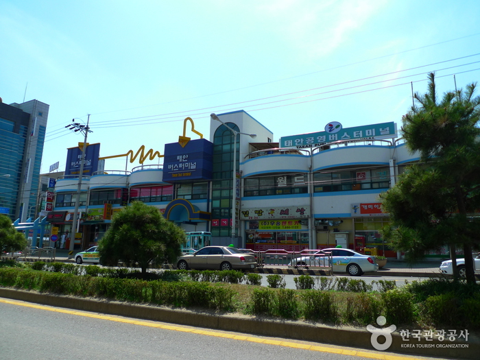 泰安共用バスターミナル(태안공용버스터미널) 泰安共用バスターミナル(태안공용버스터미널)