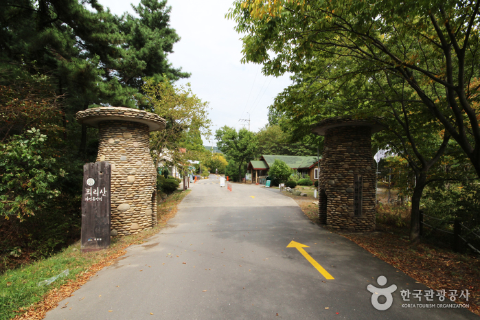 国立ヒリ山海松自然休養林（국립 희리산해송자연휴양림）