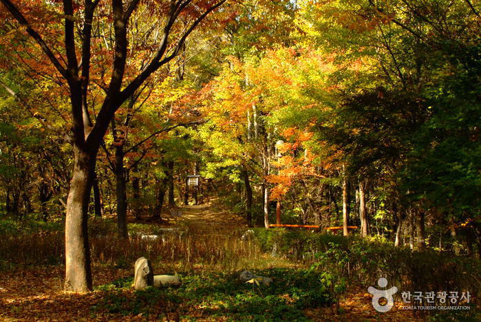 清潭公園（청담공원）