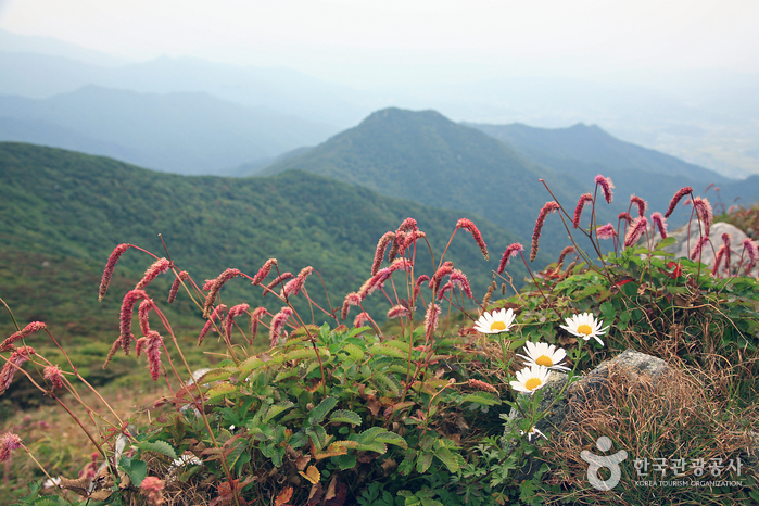 徳裕山国立公園（南徳裕分所）（덕유산국립공원（남덕유분소））