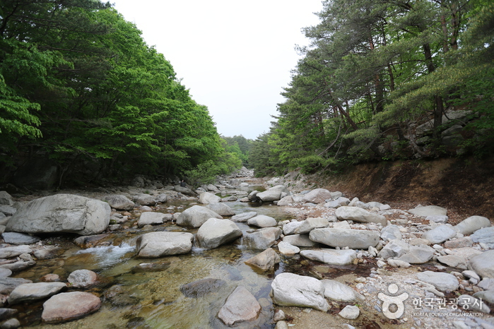 弥矢嶺渓谷（미시령계곡）