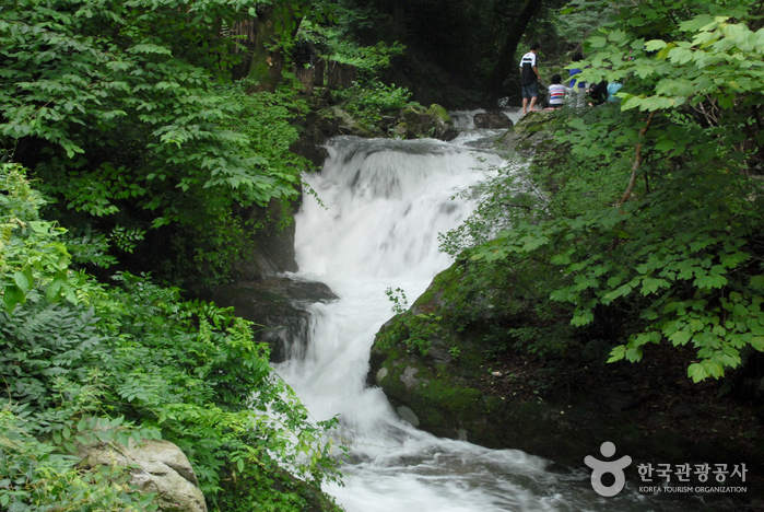 鶏龍山国立公園（계룡산국립공원）