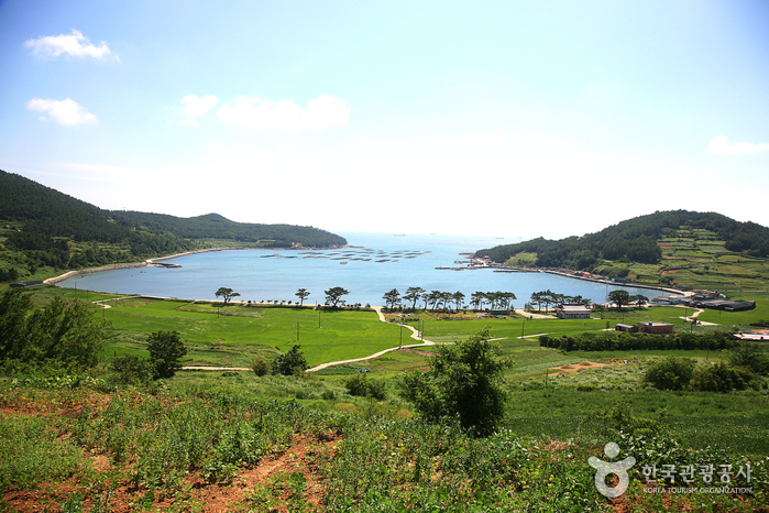 青山島（청산도）