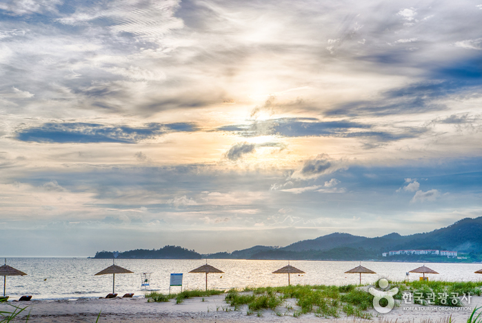 曽島 羽田海水浴場（증도 우전해수욕장）