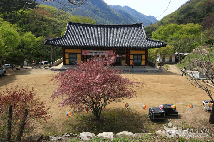 각연사(괴산) 각연사(괴산)