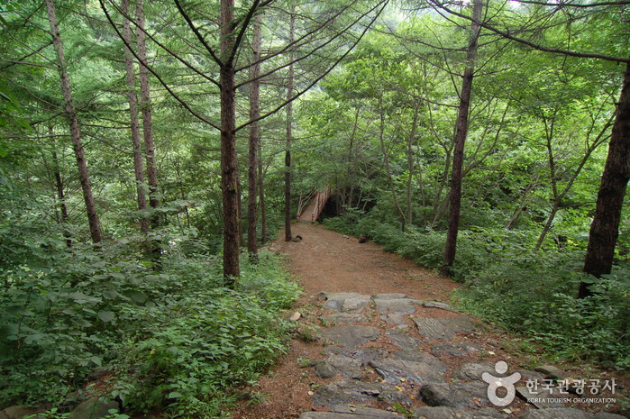가리산(홍천)