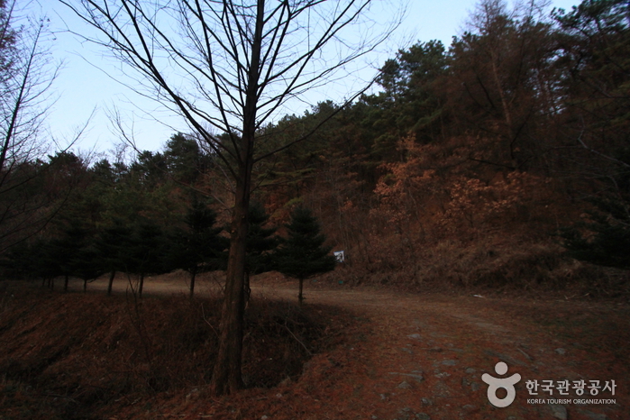 가리산(포천)