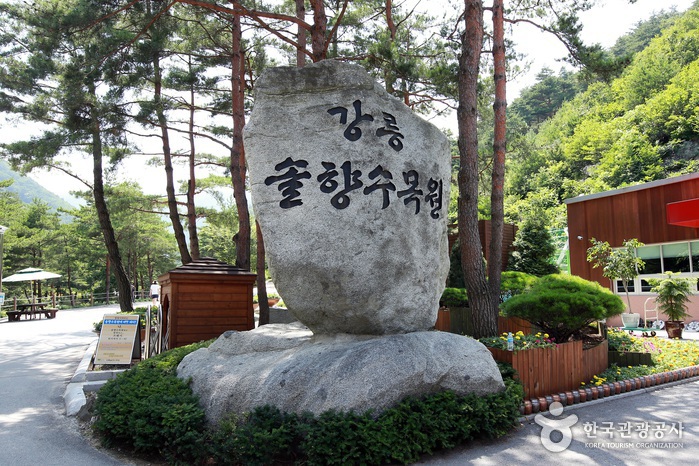 강릉 솔향수목원