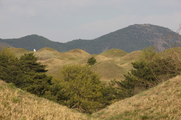 대구불로동고분군