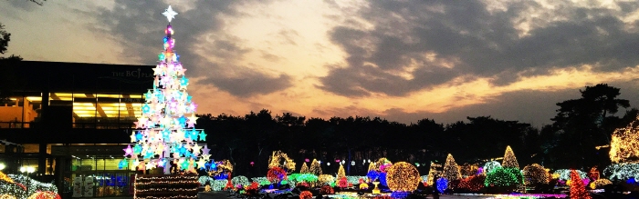 Фестиваль света в Ботаническом саду города Пёкчхо (벽초지수목원빛축제)