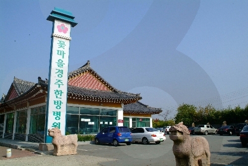 Больница восточной медицины Котмаыль (Деревня цветов) в Кёнчжу (꽃마을 경주한방병원)