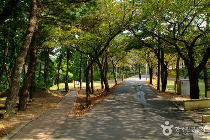 Парк Сарабон (사라봉공원)