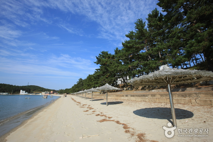 Пляж Сонхо (송호해수욕장)