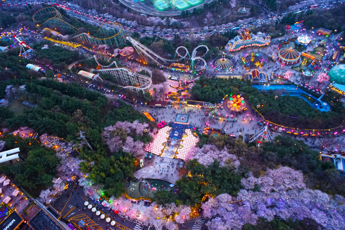 Вишневый фестиваль света в парке E-World в Тэгу (이월드 별빛벚꽃축제 2019)