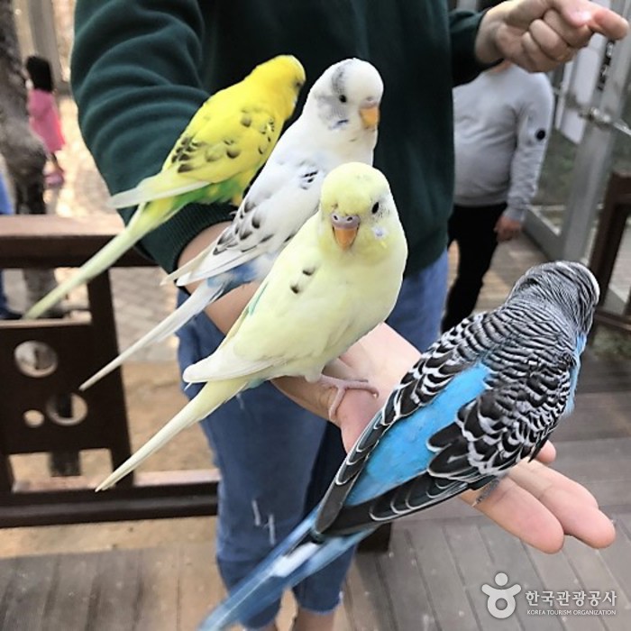 Парк птиц в Кёнчжу (경주 버드파크)